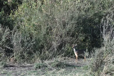 DSC_3800 (Large).JPG